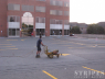 parking-lot-pics-007
